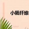 小腸纖維瘤（關于小腸纖維瘤簡介）