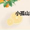 小孤山志（關于小孤山志簡介）