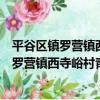 平谷區鎮羅營鎮西寺峪村青年志愿者服務隊（關于平谷區鎮羅營鎮西寺峪村青年志愿者服務隊介紹）