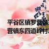 平谷區鎮羅營鎮東四道嶺村志愿服務隊1（關于平谷區鎮羅營鎮東四道嶺村志愿服務隊1介紹）