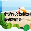 小學作文教例剖析與教案研制（關于小學作文教例剖析與教案研制簡介）