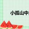 小孤山中里（關于小孤山中里簡介）