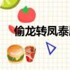 偷龍轉鳳泰劇分集劇情（偷龍轉鳳泰劇）
