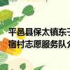 平邑縣保太鎮東子宿村志愿服務隊（關于平邑縣保太鎮東子宿村志愿服務隊介紹）