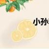 小孫李（關于小孫李簡介）