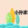 小孫家灣（關于小孫家灣簡介）