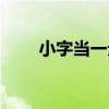 小字當一元（關于小字當一元簡介）
