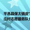 平邑縣保太鎮皮卞莊村志愿服務隊（關于平邑縣保太鎮皮卞莊村志愿服務隊介紹）