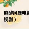 麻醉風暴電視劇全集在線觀看（麻醉風暴2 電視劇）