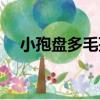 小孢盤多毛孢（關于小孢盤多毛孢簡介）