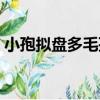 小孢擬盤多毛孢（關于小孢擬盤多毛孢簡介）