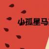 小孤星馬高（關于小孤星馬高簡介）
