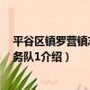 平谷區鎮羅營鎮志愿服務隊1（關于平谷區鎮羅營鎮志愿服務隊1介紹）