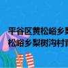 平谷區黃松峪鄉梨樹溝村青年志愿者服務隊（關于平谷區黃松峪鄉梨樹溝村青年志愿者服務隊介紹）