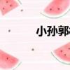 小孫郭村（關于小孫郭村簡介）