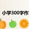 小學300字作文（關于小學300字作文簡介）