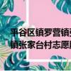 平谷區鎮羅營鎮張家臺村志愿服務隊1（關于平谷區鎮羅營鎮張家臺村志愿服務隊1介紹）