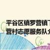 平谷區鎮羅營鎮下營村志愿服務隊（關于平谷區鎮羅營鎮下營村志愿服務隊介紹）