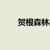 賀根森林戰役百科（賀根森林戰役）