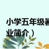 小學五年級暑假作業（關于小學五年級暑假作業簡介）
