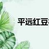 平遠紅豆林（關于平遠紅豆林介紹）