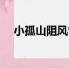 小孤山阻風雪（關于小孤山阻風雪簡介）