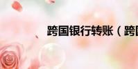 跨國銀行轉賬(跨國銀行)