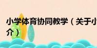 小學體育協同教學(關于小學體育協同教學簡介)
