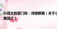 小孤女的豪門劫:待嫁新娘(關于小孤女的豪門劫:待嫁新娘簡介)