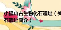 小孤山古生物化石遺址(關于小孤山古生物化石遺址簡介)