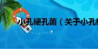小孔硬孔菌(關于小孔硬孔菌簡介)