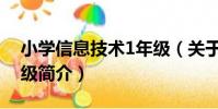 小學信息技術1年級(關于小學信息技術1年級簡介)