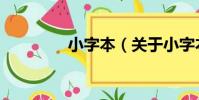 小字本(關于小字本簡介)
