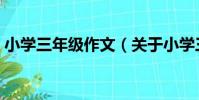 小學三年級作文(關于小學三年級作文簡介)