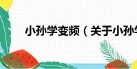 小孫學變頻(關于小孫學變頻簡介)