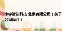 小字智能科技 北京有限公司(關于小字智能科技 北京有限公司簡介)
