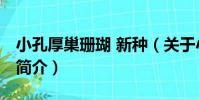 小孔厚巢珊瑚 新種(關于小孔厚巢珊瑚 新種簡介)
