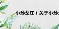 小孫戈莊(關于小孫戈莊簡介)