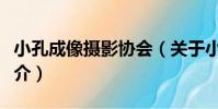 小孔成像攝影協會(關于小孔成像攝影協會簡介)