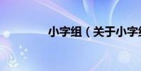 小字組(關于小字組簡介)