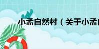 小孟自然村(關于小孟自然村簡介)