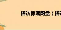 探訪驚魂網盤(探訪驚魂)