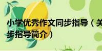 小學優秀作文同步指導(關于小學優秀作文同步指導簡介)