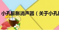小孔膨脹消聲器(關于小孔膨脹消聲器簡介)