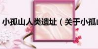 小孤山人類遺址(關于小孤山人類遺址簡介)