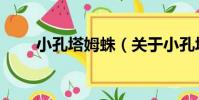 小孔塔姆蛛(關于小孔塔姆蛛簡介)