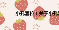 小孔套位(關于小孔套位簡介)