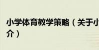 小學體育教學策略(關于小學體育教學策略簡介)