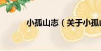 小孤山志(關于小孤山志簡介)