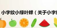 小字紋小綠葉蟬(關于小字紋小綠葉蟬簡介)
